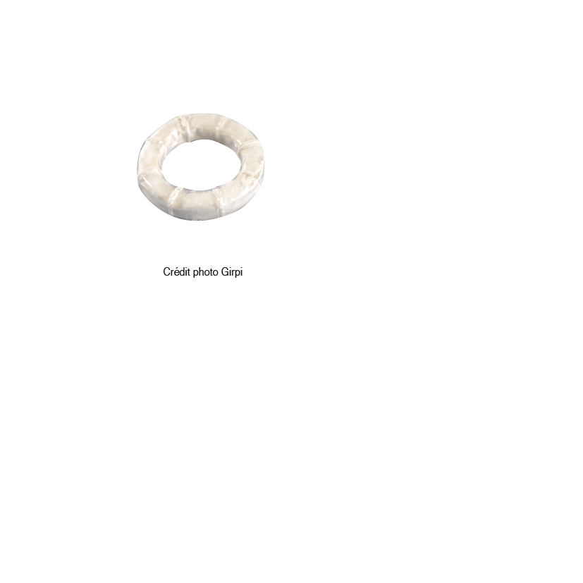 BAGUE UNIVERSELLE DE REPARATION  POUR PIPE WC